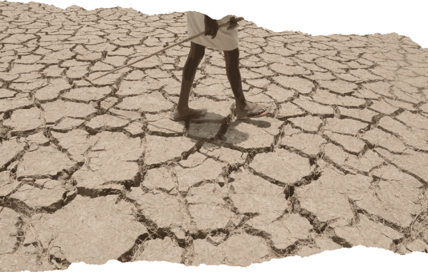 image of cracked earth soil