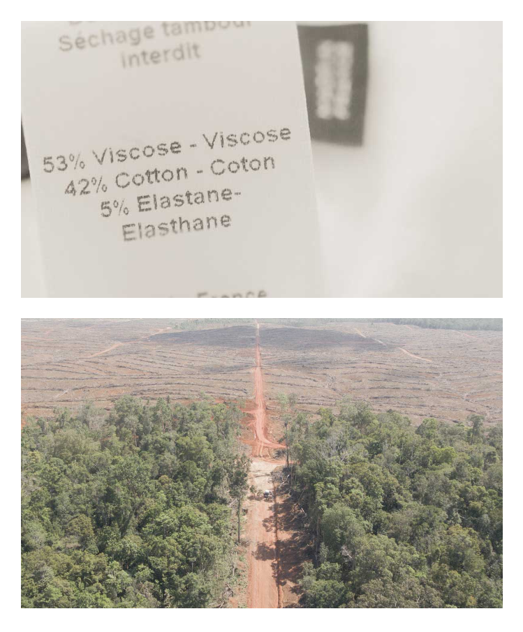 label from a shirt and trees that are cut down