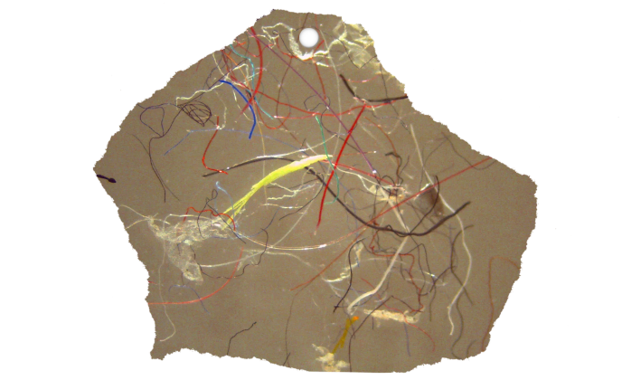 image of microscopic microplastic